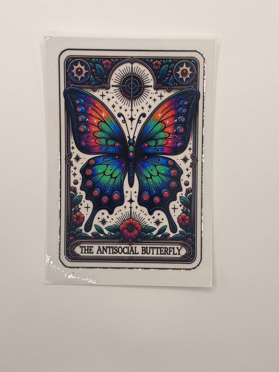 Wild and Whimsy