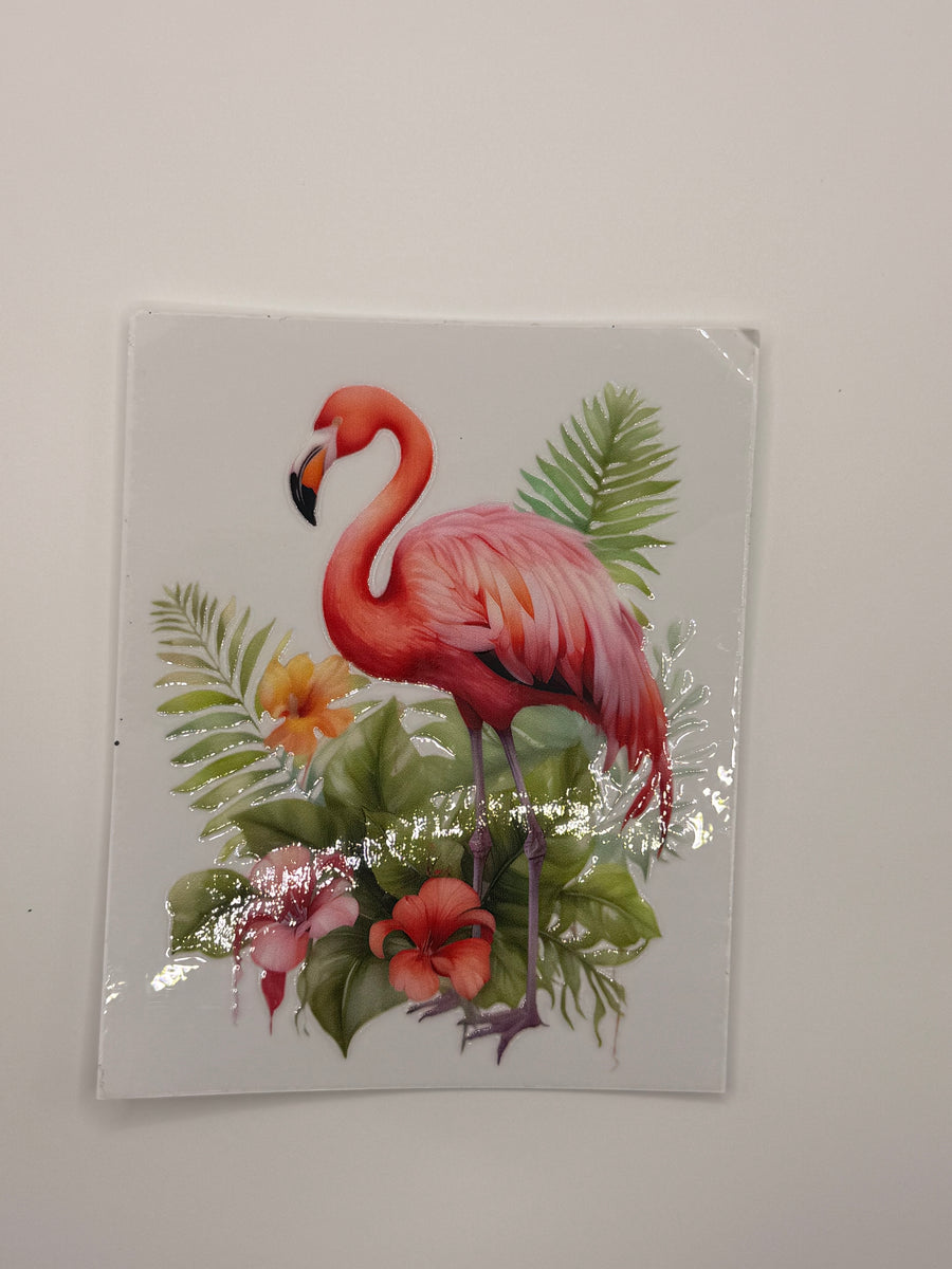 Animals