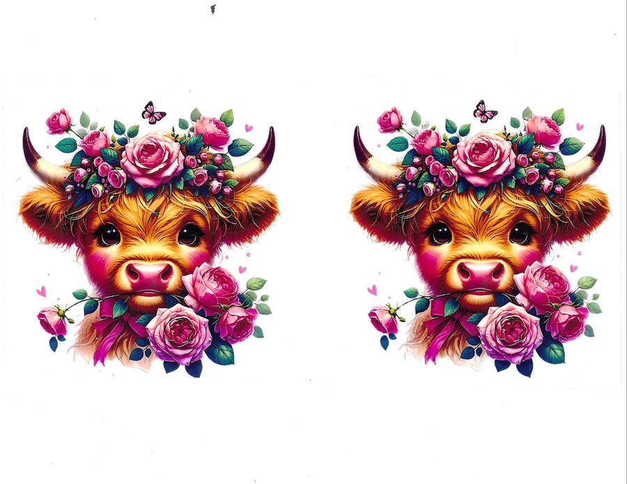Highland Cows/Butterflys